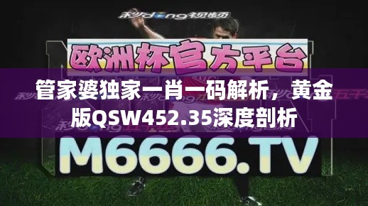 管家婆独家一肖一码解析,黄金版QSW452.35深度剖析