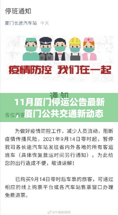 厦门公共交通新动态,11月停运公告全面解读与最新资讯
