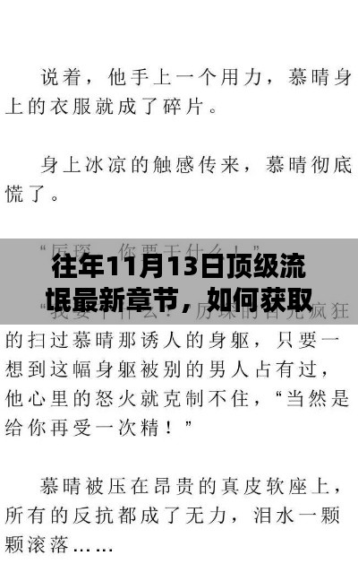 往年11月13日顶级小说最新章节获取指南与步骤