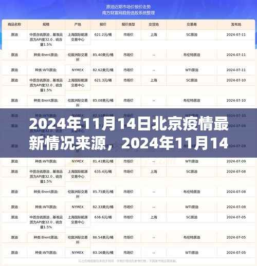 2024年11月14日北京疫情最新动态与深度解析