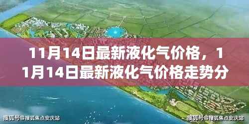 11月14日液化气价格走势分析,市场洞察与前瞻