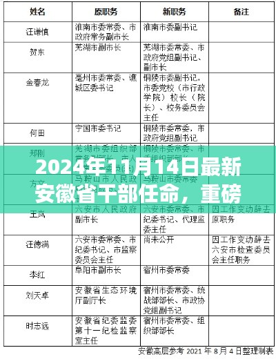 重磅!安徽省最新干部任命揭晓,未来领导者风采展望