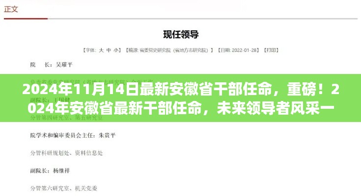 重磅!安徽省最新干部任命揭晓,未来领导者风采展望