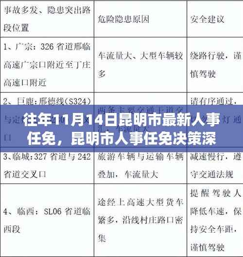 历年11月14日昆明市人事任免解析，深度探讨人事决策与变动视角