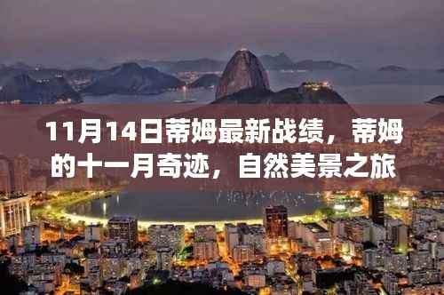 蒂姆的十一月奇迹,自然美景之旅与心灵宁静之地的探寻