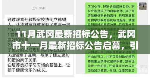 武冈市最新招标公告启幕,引领新一轮投资热潮,十一月招标信息一览