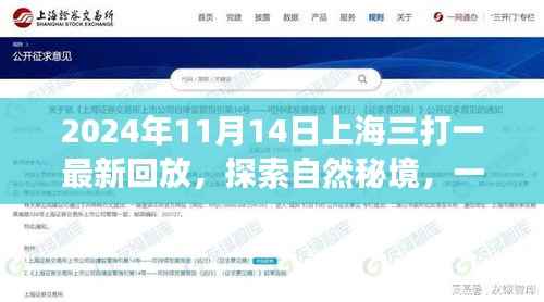 上海三打一启发的探索自然秘境之旅,最新回放与宁静之旅体验