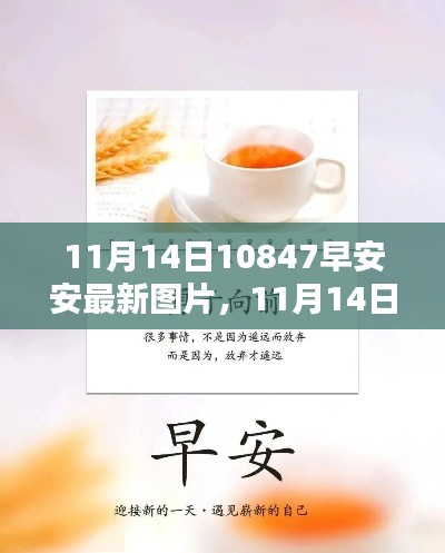 11月14日早安安最新图片分享,获取与分享详细步骤指南(适合初学者与进阶用户)