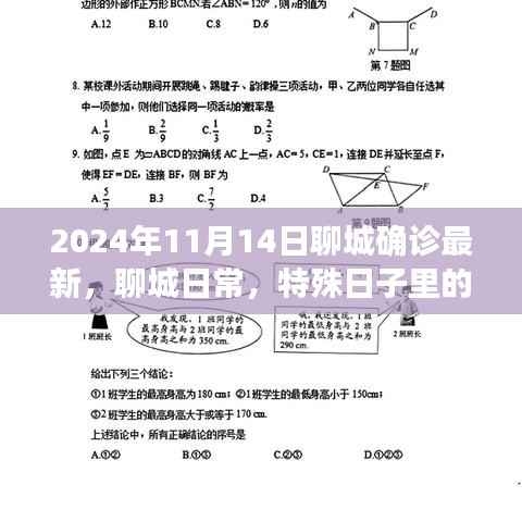 聊城特殊日子温情确诊之旅,最新进展与日常观察(2024年11月14日)