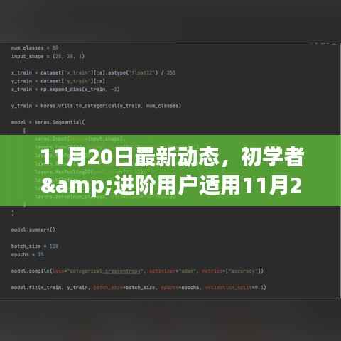 初学者与进阶用户指南，最新动态步骤指南，完成新任务或学习新技能的详细步骤（11月20日更新）