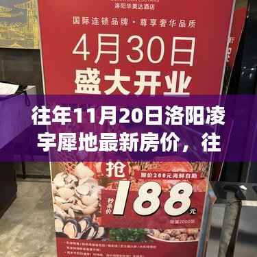 往年11月20日洛阳凌宇犀地房价揭秘,市场走势分析与购房指南,最新房价信息一网打尽!