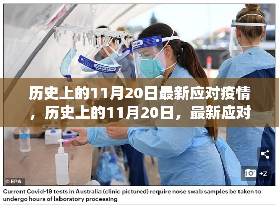 历史上的11月20日,最新疫情应对步骤指南