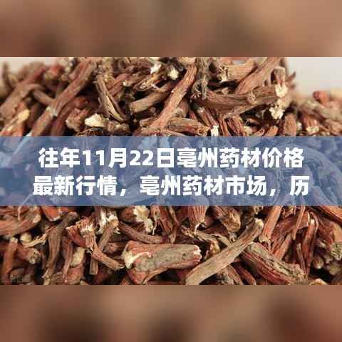 历年11月22日亳州药材市场最新行情深度解析及价格走势预测