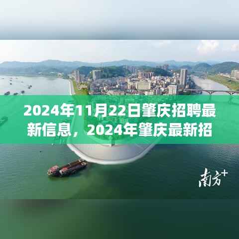 2024年肇庆最新招聘信息汇总，职场人的新选择，11月22日肇庆招聘更新