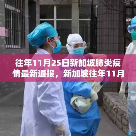 新加坡往年11月25日新冠肺炎疫情防控最新通报获取指南,疫情信息获取步骤解析