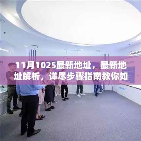 最新解析指南,获取并验证11月1025最新地址的步骤教程
