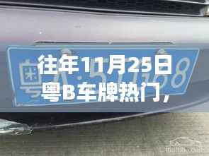 往年11月25日粤B车牌热门探秘,深圳车牌市场的风云变幻解读