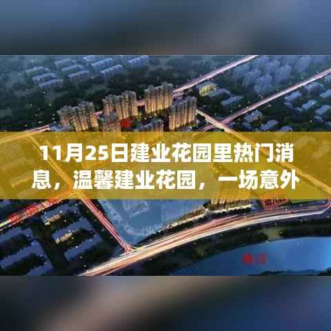 温馨建业花园,惊喜与友情的意外交织日(11月25日热门消息)