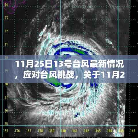 应对台风挑战,关于台风最新情况的指南(针对台风13号)