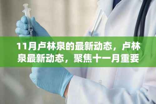 卢林泉最新动态,聚焦十一月重要活动及进展进展