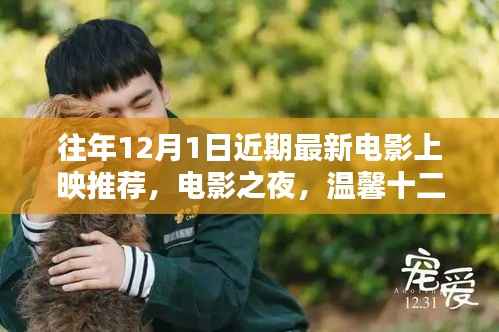 温馨十二月电影之夜,最新大片上映推荐与好友共赏时刻