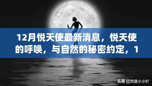 悦天使的呼唤,揭秘自然秘密与心灵之旅的最新消息