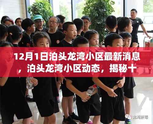 泊头龙湾小区动态揭秘,最新消息背后的故事(12月1日)