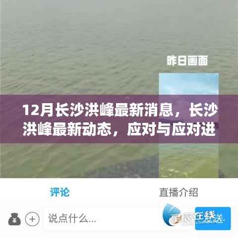 长沙洪峰动态更新,应对进展分析与科普解读
