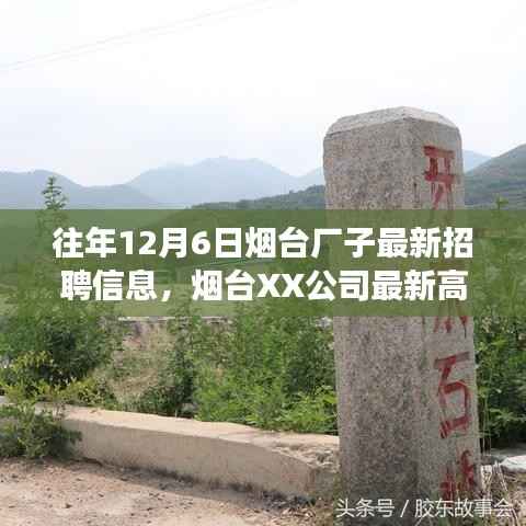 烟台XX公司招聘及高科技产品体验报告,触摸未来,科技引领生活新篇章