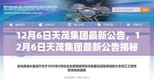 揭秘,天茂集团最新公告引领行业新动向,12月6日重磅发布