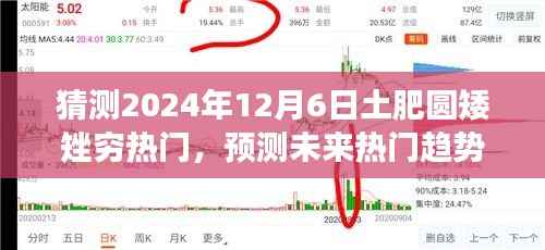 2024年土肥圆矮矬穷流行趋势猜测,详细指南与热门趋势展望