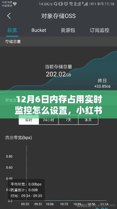 小红书教你,如何设置12月6日内存占用实时监控?保姆级教程!