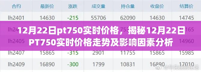 揭秘,12月22日PT750实时价格走势及分析全解析