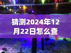未来塑料实时报价探索之旅,心灵宁静与自然美景的双重追寻