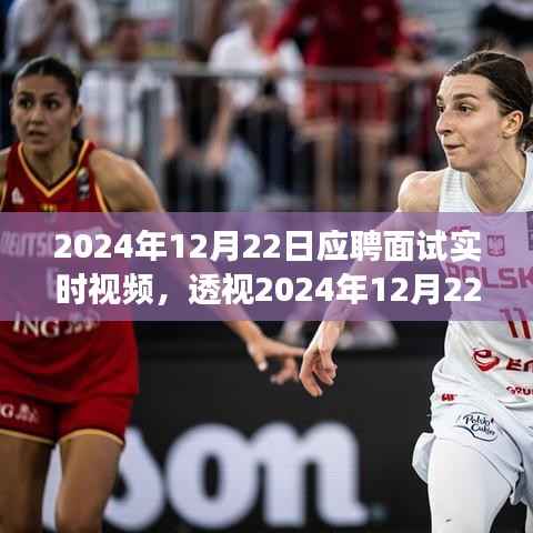 透视2024年面试实况,一场时代的对话实录