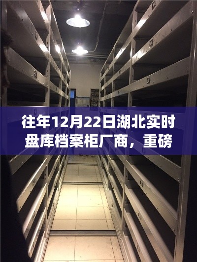 湖北档案柜厂商实时盘库全记录,专业存储新姿势揭秘