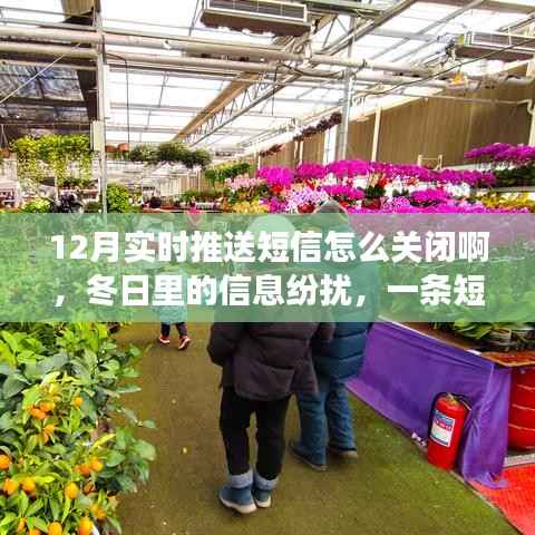 冬日短信纷扰中的关闭之旅,暖心故事与操作指南
