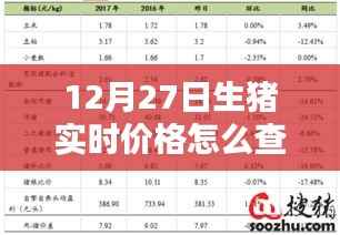 12月27日生猪实时价格查询指南,深度评测与详细介绍