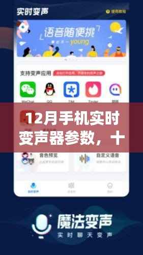 12月手机实时变声器参数揭秘,暖心日常中的魔法变声体验