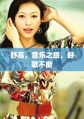 舒高,音乐之旅,好歌不断