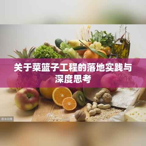 关于菜篮子工程的落地实践与深度思考