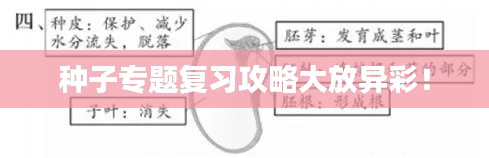 种子专题复习攻略大放异彩!