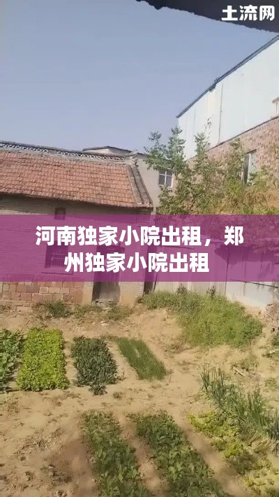 河南独家小院出租，郑州独家小院出租 