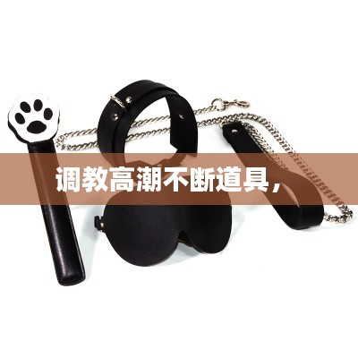 调教高潮不断道具,