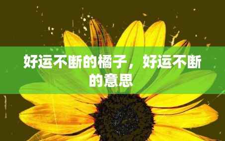 好运不断的橘子，好运不断的意思 