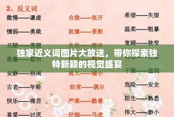 独家近义词图片大放送,带你探索独特新颖的视觉盛宴
