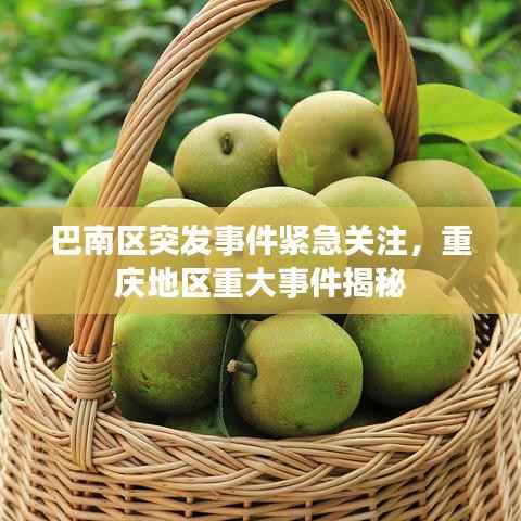 巴南区突发事件紧急关注，重庆地区重大事件揭秘