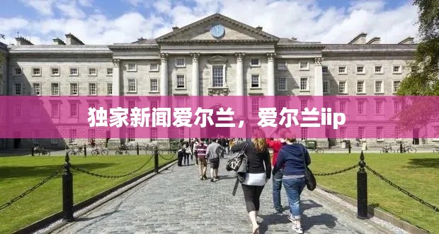 独家新闻爱尔兰,爱尔兰iip