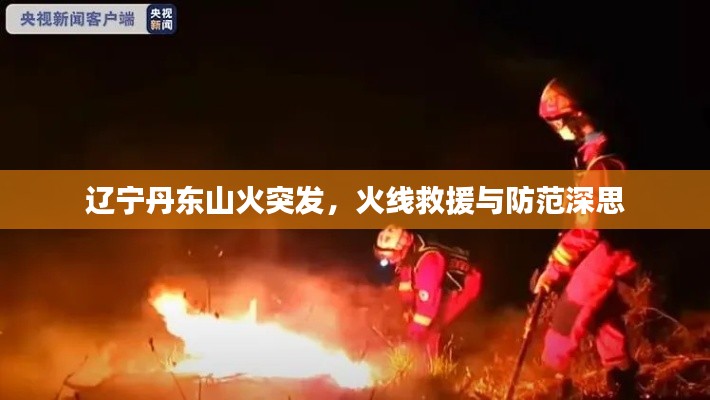 辽宁丹东山火突发,火线救援与防范深思