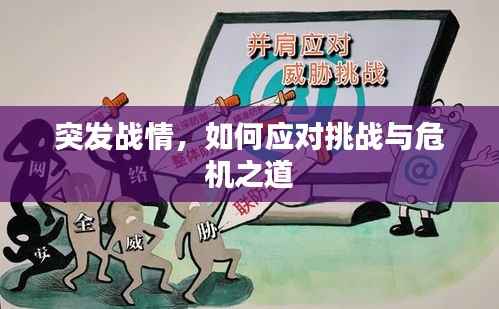 突发战情,如何应对挑战与危机之道